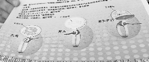 3333333.gif