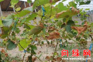 绝产.jpg