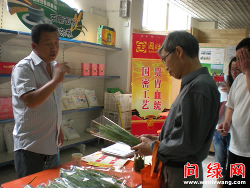 DSCN7025.jpg