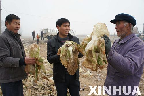 12գɽʡĳжɳ壬㣨Уũ̸չڵĴײˡ»緢ܾ 㣩