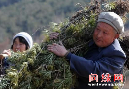 310գĵºŴɽϰ׼ֲ硣