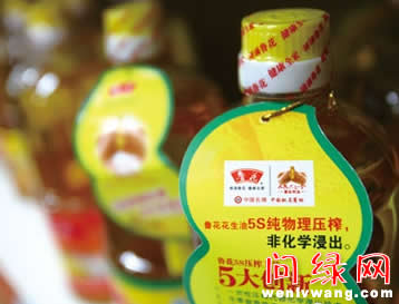 wenlvxinwen1.jpg